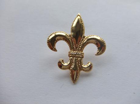 Scouting logo goudkleurige